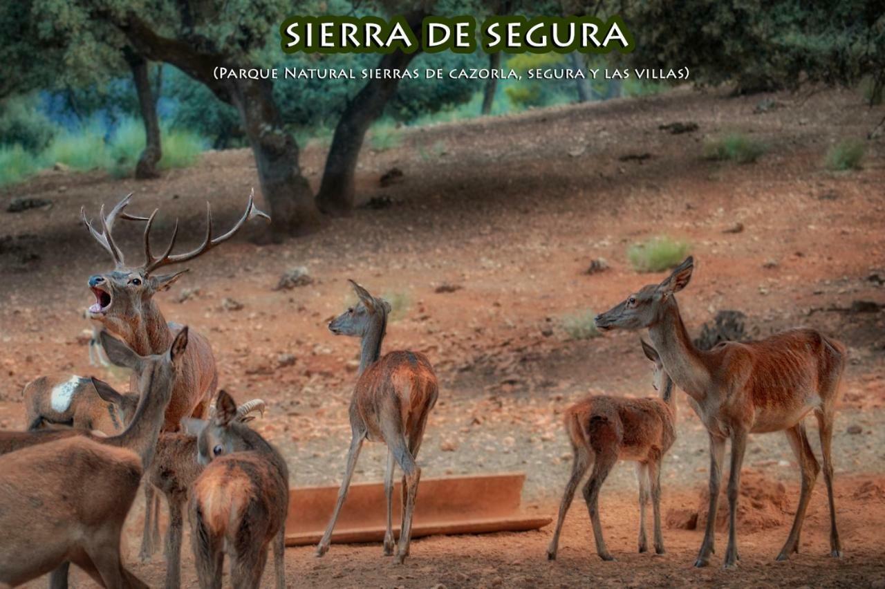 La Vieja Parra Vendégház La Puerta de Segura Kültér fotó